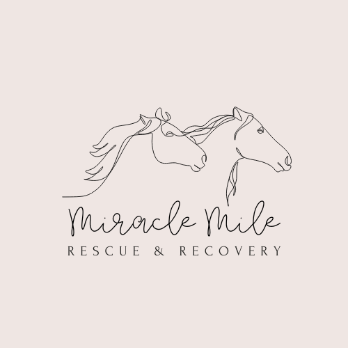Miracle Mile Rescue & Recovery